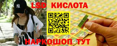 сатива Будённовск