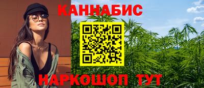сатива Будённовск