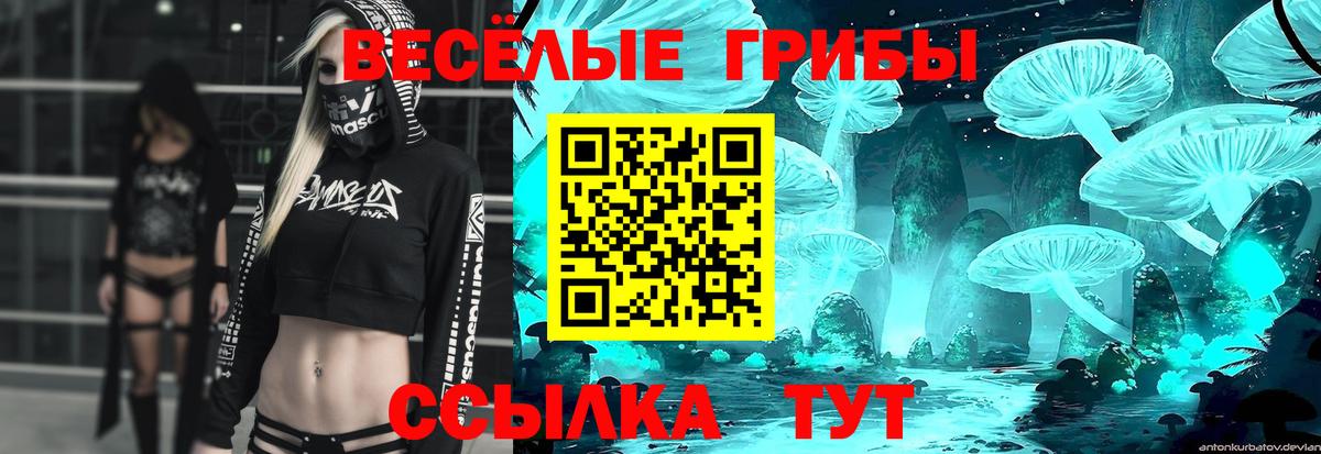 Сургут  Галлюциногенные грибы прущие грибы  Вход с VPN 