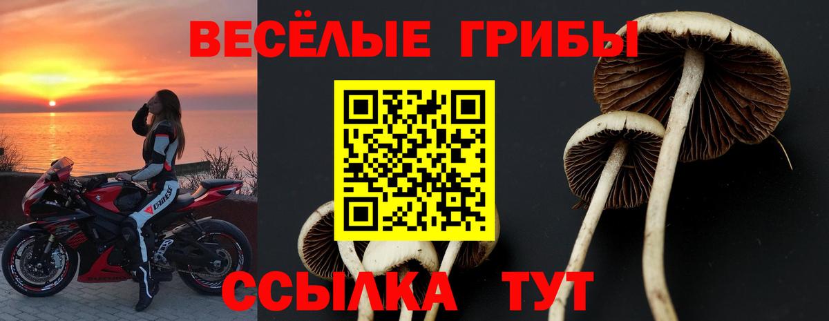 Псилоцибиновые грибы ЛСД Сургут