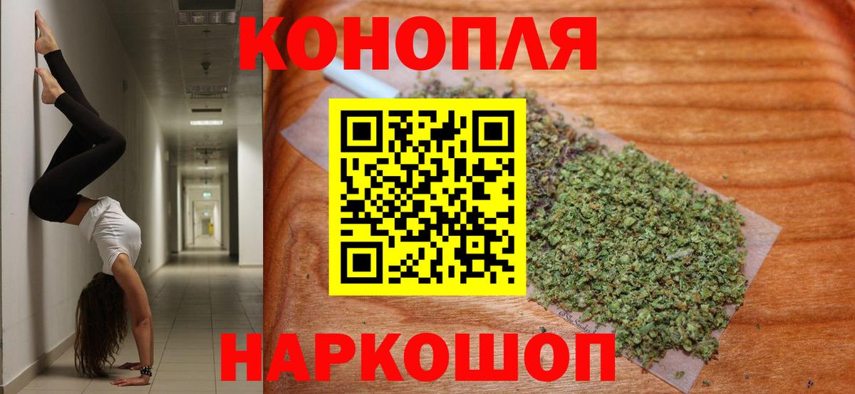 Сургут  Марихуана Bruce Banner  Бошки марихуана планчик  Вход с VPN  Шишки марихуана семена 